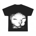 Funny Ibuprofen Cat Meme PNG, Unhinged Cringe Humor Sublimation Design, Digital Download, Instant Download